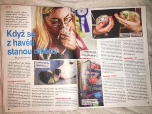 Článek_Veronique_Veigner