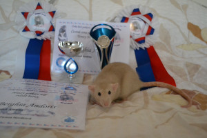 Berghia Andoris