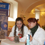 posuzování - Tamara Sýkorová